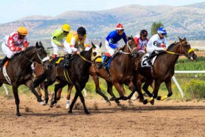horses, racing, wyoming, downs, track, betting, jockeys, betting, betting, betting, betting, betting