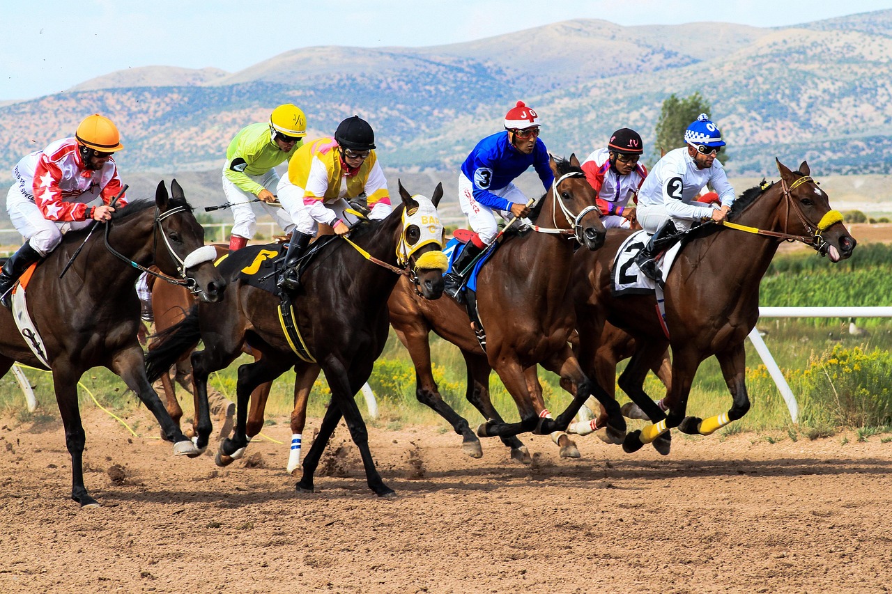 horses, racing, wyoming, downs, track, betting, jockeys, betting, betting, betting, betting, betting