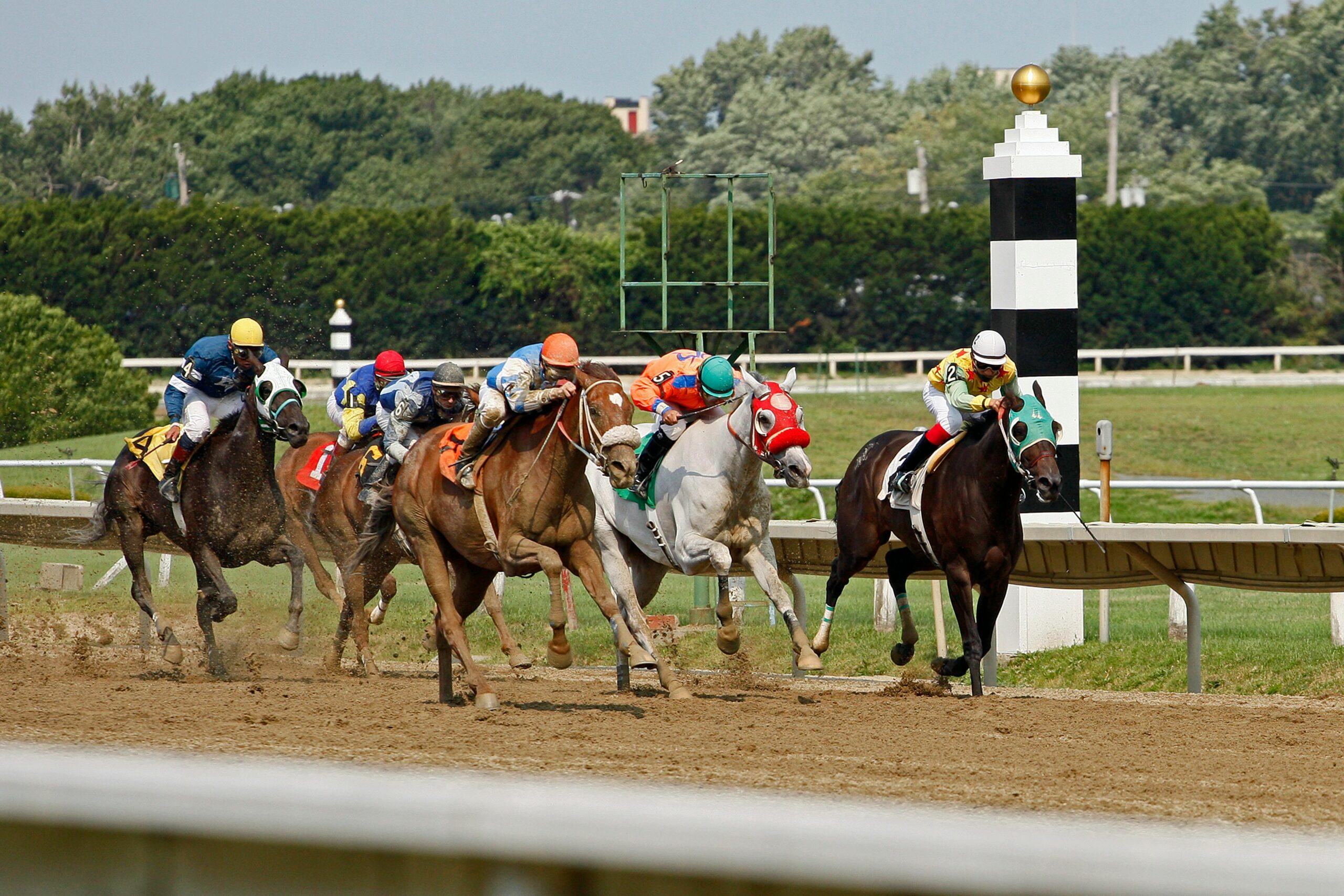 Thrilling shot of jockeys racing on horses around a bend at a vibrant horse racing event.