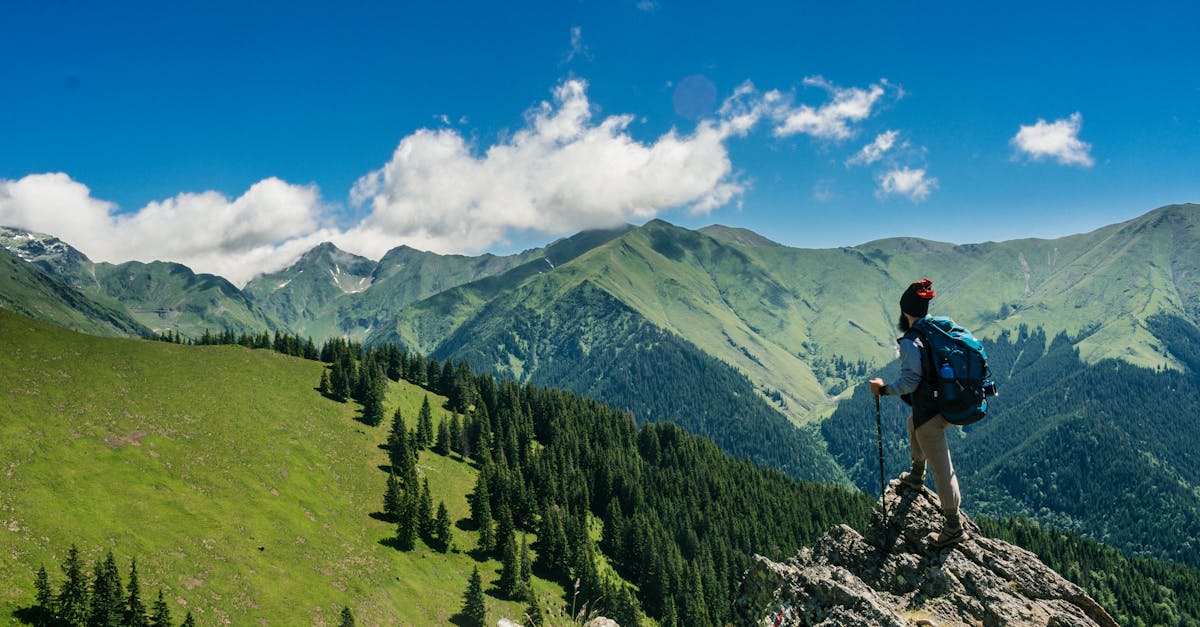 Adventurous hiker enjoying breathtaking views of lush green mountains in Romania under a clear blue sky.
